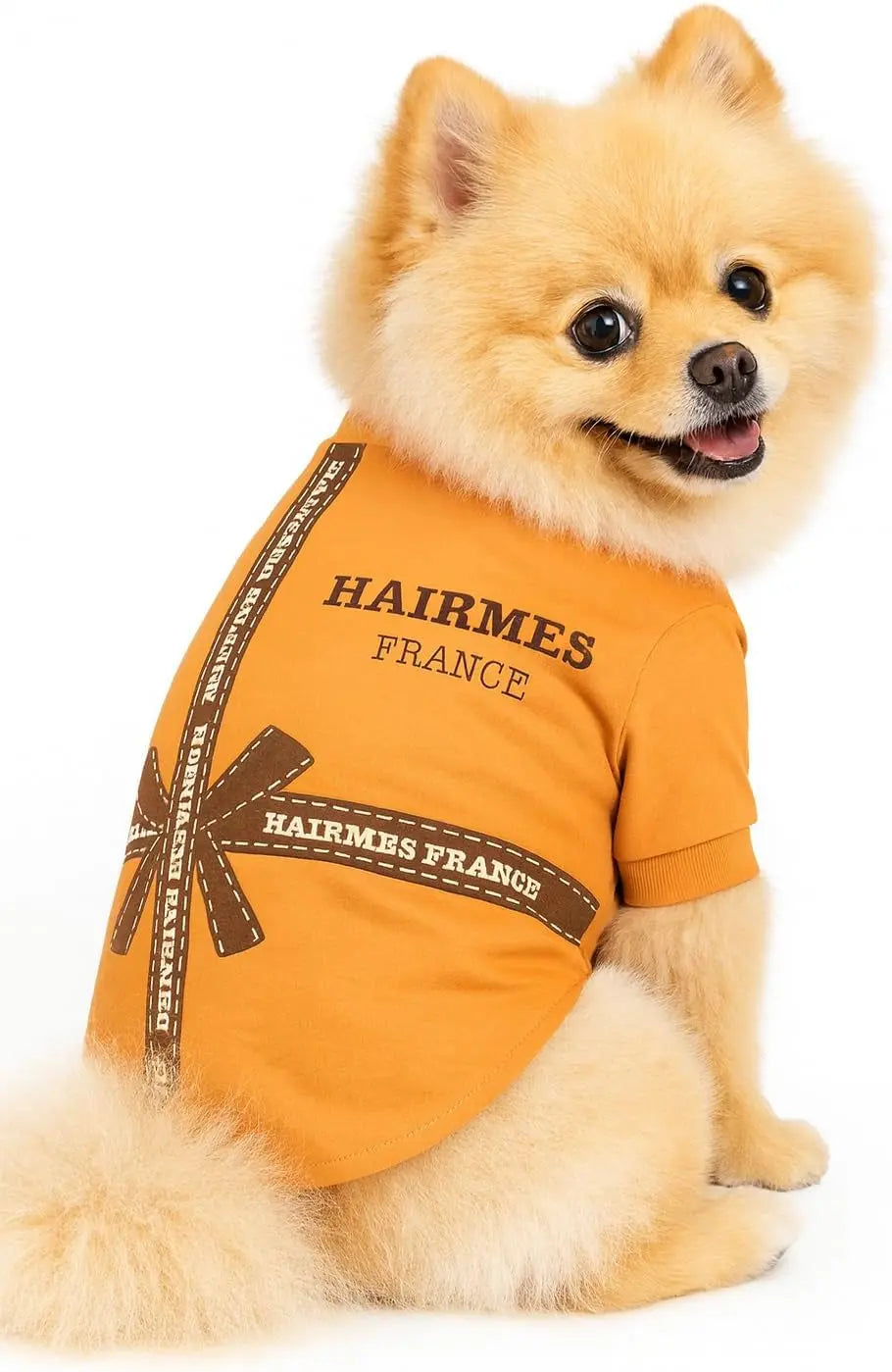Luxury Designer Dog T-Shirt for Small Dogs | Chic Pet Apparel